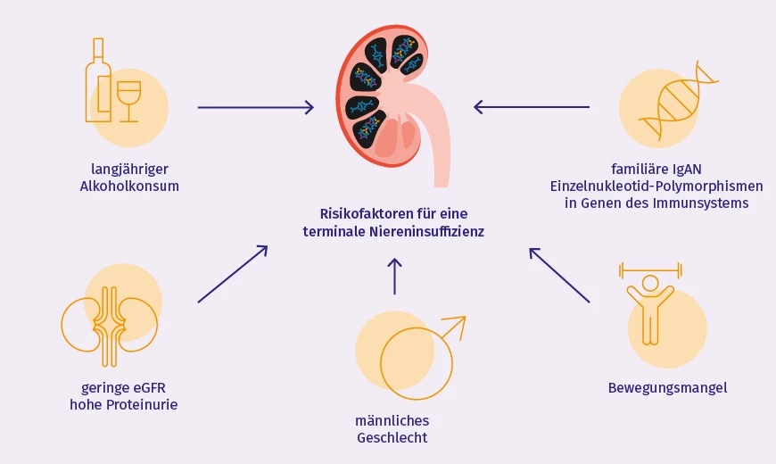 Igan Verlauf Bis Zur Terminalen Niereninsuffizienz Stadapharm