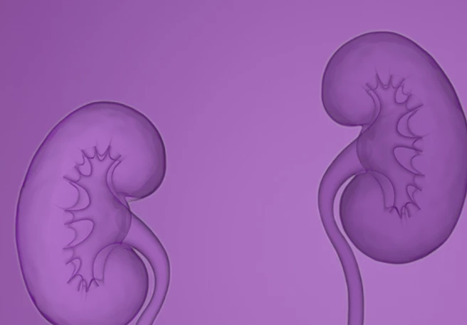 Zwei Nieren symbolisieren den IgAN-Krankheitsbeginn Zwei Nieren symbolisieren den IgAN-Krankheitsbeginn