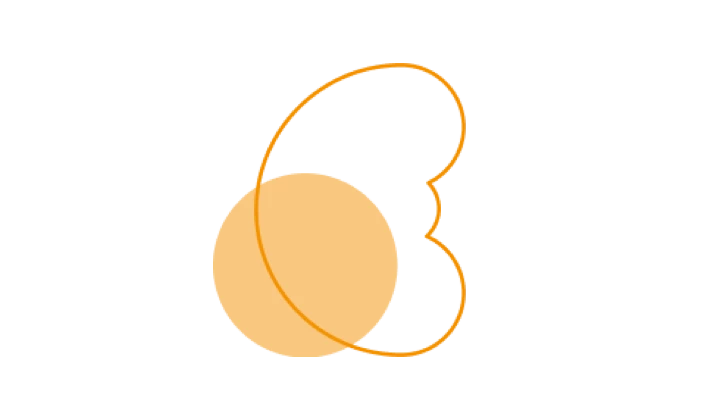 Icon Niere Icon Niere