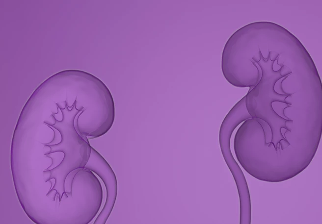 Causes of IgA Nephropathy  Causes of IgA Nephropathy