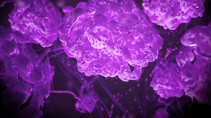 Prediction of disease progression