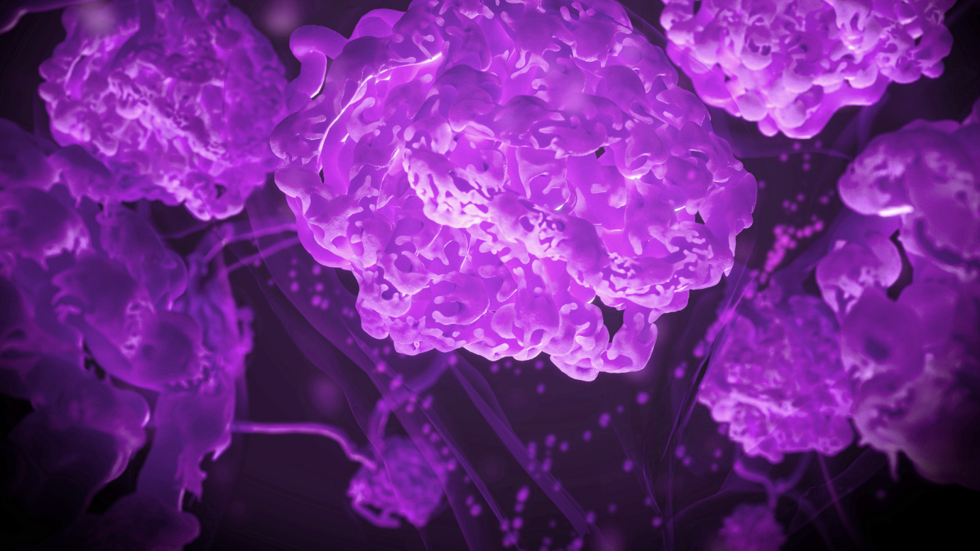 Prediction of disease progression 